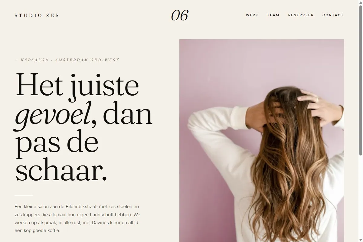 Screenshot van de website van Studio Zes